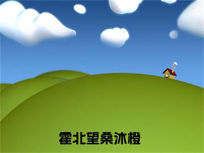 霍北望桑沐橙小说（霍北望桑沐橙）全文免费阅读无弹窗大结局_（霍北望桑沐橙）结局最新章节列表_笔趣阁