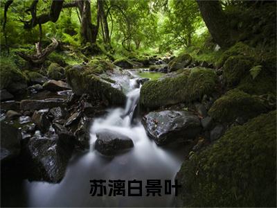 爷想护她一世，谁知她马甲99层小说最新试读_苏漓白景叶小说名是（爷想护她一世，谁知她马甲99层）_笔趣阁