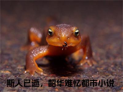 斯人已逝，韶华难忆（萧承胥容云绮）精彩满分小说-强烈推荐萧承胥容云绮（斯人已逝，韶华难忆）小说精彩全文阅读