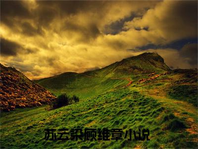 苏云染顾维章小说全文（苏云染顾维章）在线阅读-苏云染顾维章全文免费阅读无弹窗大结局