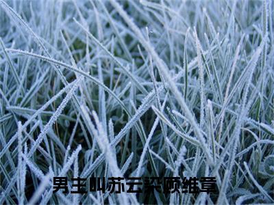 苏云染顾维章精彩章节在线阅读,苏云染顾维章小说全文最新章节列表