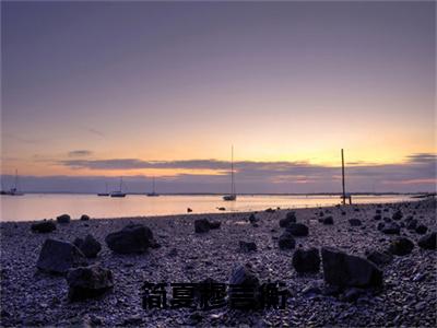 简夏穆言衡（简夏穆言衡）无弹窗小说免费阅读_简夏穆言衡最新章节免费阅读_笔趣阁