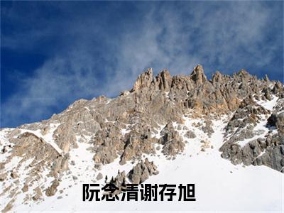 阮念清谢存旭全文免费阅读大结局-（阮念清谢存旭）最新章节列表在线阅读