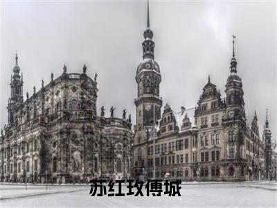 苏红玫傅城正版小说最新章节在线阅读-老书虫推荐苏红玫傅城小说
