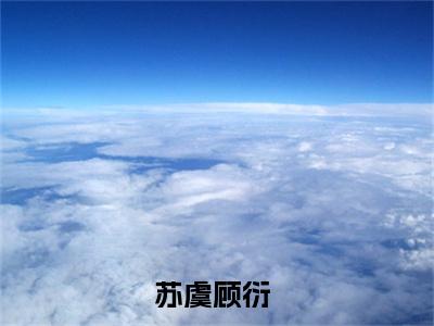 苏虞顾衍（苏虞顾衍）小说大结局-小说（苏虞顾衍）免费阅读苏虞顾衍