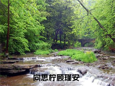 向思柠顾瑾安免费阅读大结局无弹窗-小说推荐向思柠顾瑾安精彩章节在线阅读