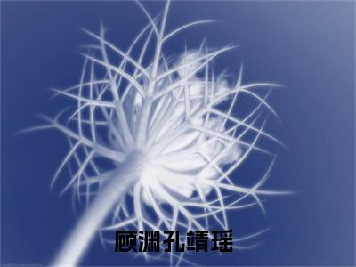 顾渊孔靖瑶(顾渊孔靖瑶)全文免费阅读无弹窗大结局_(顾渊孔靖瑶)小说免费阅读无弹窗最新章节列表
