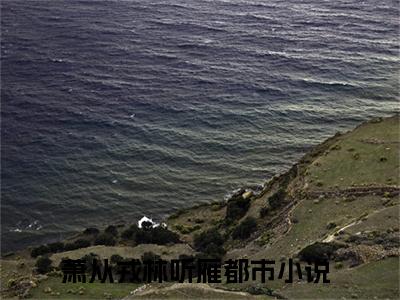 萧从戎林听雁(萧从戎林听雁）小说全文免费阅读无弹窗大结局_（萧从戎林听雁）萧从戎林听雁小说全文免费阅读最新章节列表笔趣阁（萧从戎林听雁）