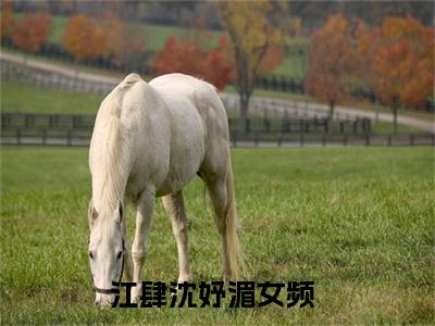 江肆沈妤湄小说免费阅读 江肆沈妤湄免费阅读无弹窗小说
