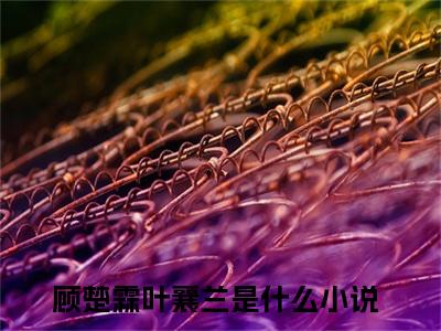 顾楚霖叶襄兰已完结小说全集阅读（顾楚霖叶襄兰完整版大结局）顾楚霖叶襄兰小说全文阅读笔趣阁