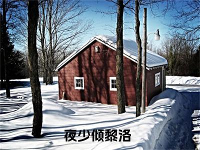 亿万大佬独宠替嫁娇妻（夜少倾黎洛）小说全文免费阅读无弹窗大结局_亿万大佬独宠替嫁娇妻全文在线阅读无弹窗（夜少倾黎洛）