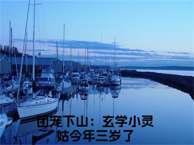 (兜兜)团宠下山：玄学小灵姑今年三岁了全文免费阅读无弹窗完整版_（团宠下山：玄学小灵姑今年三岁了小说全文免费阅读）团宠下山：玄学小灵姑今年三岁了最新章节列表笔趣阁(兜兜)