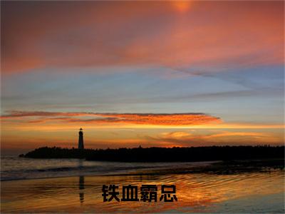 孟怀瑾全文免费大结局 铁血霸总小说在线阅读