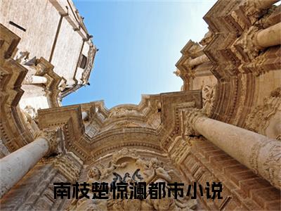 南枝楚惊澜（施舍的爱）在线阅读小说全文无删减-施舍的爱小说大结局