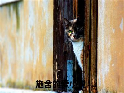 楚惊澜南枝(施舍的爱)全文免费阅读无弹窗大结局_(施舍的爱)小说免费阅读最新章节列表