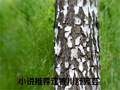 江睿川舒宛芸（江睿川舒宛芸）抖音热推小说全集无删减_江睿川舒宛芸最新章节列表_笔趣阁