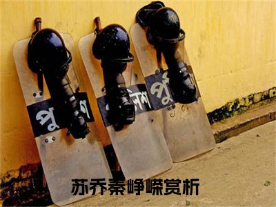 重生踹翻渣男，七零军嫂一胎三宝结局_（苏乔秦峥嵘）重生踹翻渣男，七零军嫂一胎三宝最新章节列表_笔趣阁