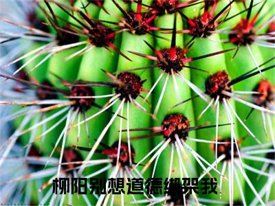 柳阳全文免费阅读无弹窗大结局-柳阳别想道德绑架我 全文全章节免费阅读