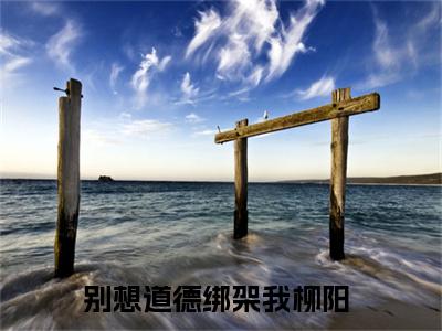 别想道德绑架我（柳阳）全文免费阅读无弹窗大结局_别想道德绑架我小说（柳阳）最新章节列表（别想道德绑架我）
