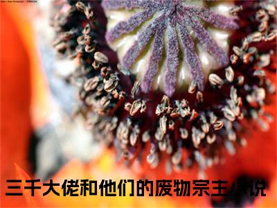 三千大佬和他们的废物宗主在线阅读（余葵银洛）全文免费阅读无弹窗大结局_