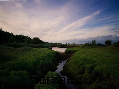 沈邱洛白若尘全文免费阅读（沈邱洛白若尘免费阅读无弹窗）沈邱洛白若尘最新章节列表_笔趣阁