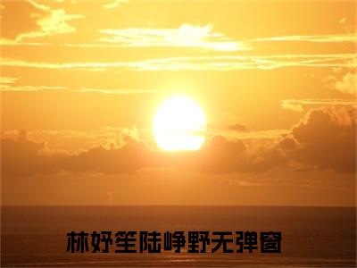 林妤笙陆峥野(爆撩！反派大佬别太爱)全文免费阅读无弹窗大结局_(林妤笙陆峥野)爆撩！反派大佬别太爱小说在线阅读无删减