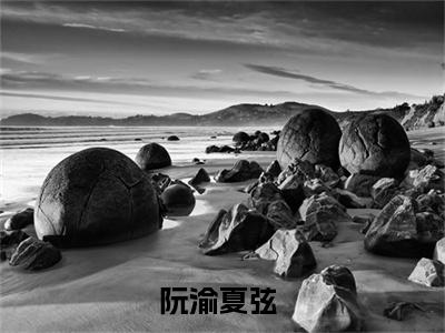 阮渝夏弦免费阅读无广告 （阮渝夏弦大结局免费阅读）阮渝夏弦是啥小说