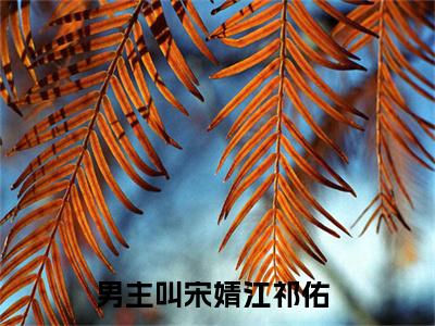 （宋婧江祁佑）抖音宋婧江祁佑小说阅读完结版-宋婧江祁佑小说全文免费阅读