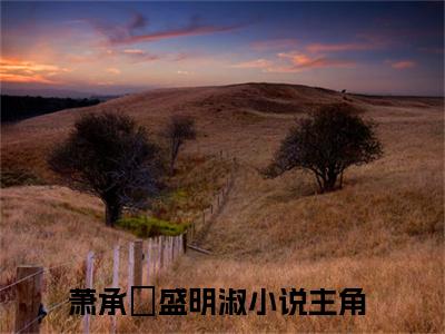 萧承璟盛明淑(萧承璟盛明淑)全文阅读无弹窗大结局-萧承璟盛明淑小说结局免费阅读_笔趣阁（萧承璟盛明淑）