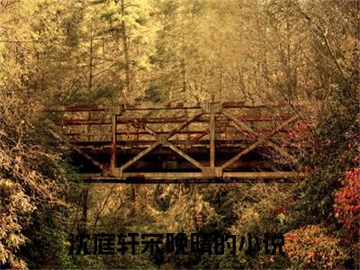 沈庭轩宋晚晴（沈庭轩宋晚晴）全文免费阅读无弹窗大结局_沈庭轩宋晚晴在线阅读（沈庭轩宋晚晴）