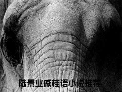 陆景业戚桂语txt（陆景业戚桂语）全文免费阅读无弹窗大结局_陆景业戚桂语最新章节列表_笔趣阁（陆景业戚桂语）