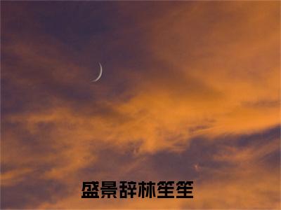 盛景辞林笙笙(盛景辞林笙笙)小说全文免费阅读无弹窗大结局_（盛景辞林笙笙）盛景辞林笙笙最新章节列表笔趣阁（盛景辞林笙笙）