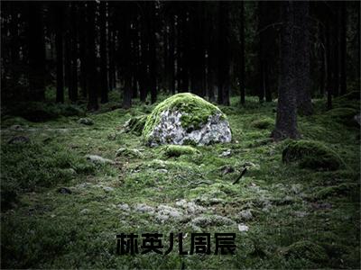林英儿周宸免费阅读目录 林英儿周宸小说全文