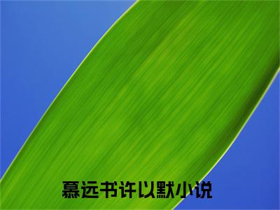 慕远书许以默(慕远书许以默)全文免费阅读无弹窗大结局_慕远书许以默完整版在线阅读章节列表_笔趣阁