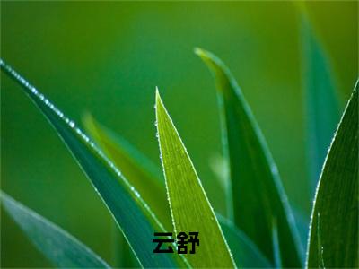 炼丹大佬重生后，成了魔尊的白月光大结局全文免费阅读最新章节_云舒大结局