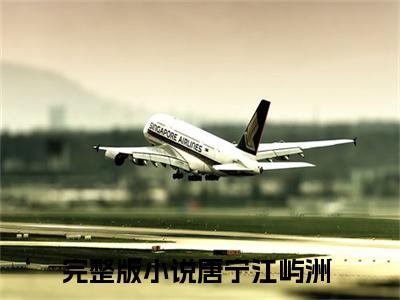 带崽离婚后，江总被前妻虐哭了小说(唐宁江屿洲)全文免费阅读_(唐宁江屿洲)带崽离婚后，江总被前妻虐哭了小说最新章节列表_笔趣阁(唐宁江屿洲)