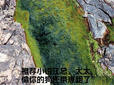 谈舒意江聿(江总，太太偷你的狗还带崽跑了）小说全文免费阅读无弹窗大结局_江总，太太偷你的狗还带崽跑了全文免费阅读