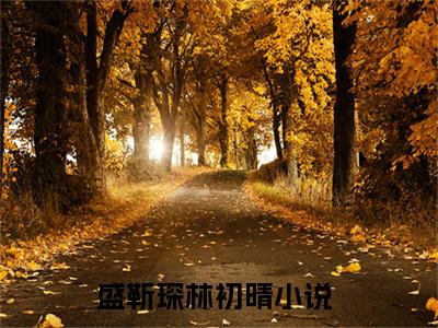 盛靳琛林初晴言情小说免费观看-小说(盛靳琛林初晴)最新章节阅读在线赏析