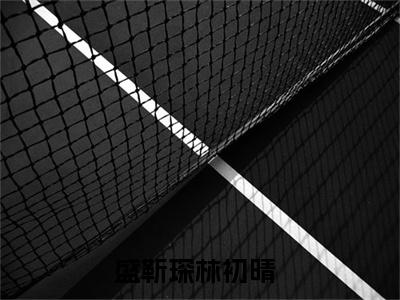 言情小说榜单盛靳琛林初晴阅读全文（盛靳琛林初晴）-盛靳琛林初晴完整版免费小说