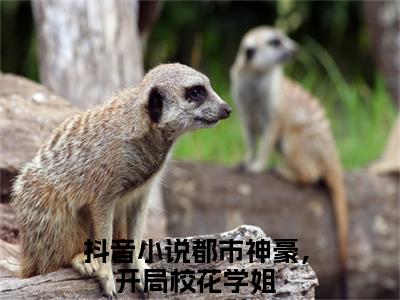 沈宇（都市神豪，开局校花学姐）小说全文无删减版完整版_ 沈宇最新章节列表_笔趣阁