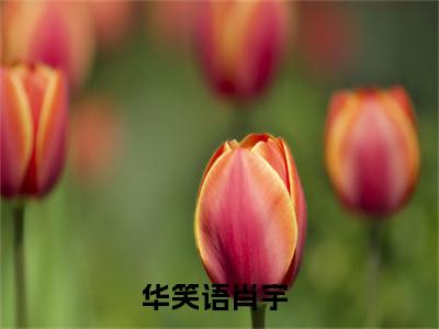 小说匿迹不周山全文免费阅读无弹窗_（华笑语肖宇完结）匿迹不周山小说免费阅读无弹窗最新章节列表_笔趣阁