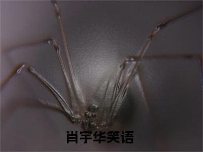 肖宇华笑语热推新书小说全文（匿迹不周山）全文免费阅读_肖宇华笑语最新章节无弹窗阅读
