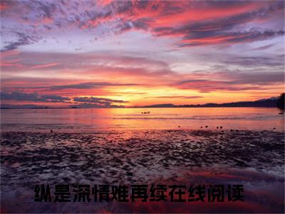 姜晚晚钟云钦（纵是深情难再续）全本完整版免费阅读_ (姜晚晚钟云钦)纵是深情难再续全文章节目录_笔趣阁（纵是深情难再续）