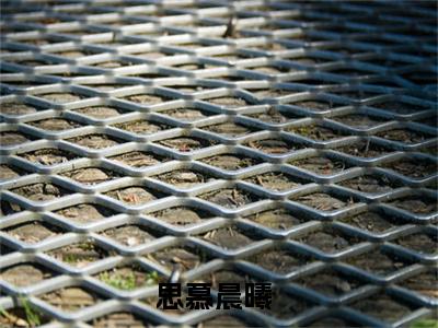 林沐曦李子屹思慕晨曦(思慕晨曦小说)全文免费阅读无弹窗大结局_(思慕晨曦小说免费阅读全文大结局)最新章节列表_笔趣阁（林沐曦李子屹小说）