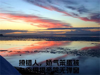 撩错人，娇气笨蛋被九爷狠狠亲哭（郁惊画）全文免费阅读无弹窗大结局_（撩错人，娇气笨蛋被九爷狠狠亲哭全文免费阅读无弹窗）郁惊画最新章节列表_笔趣阁（撩错人，娇气笨蛋被九爷狠狠亲哭）