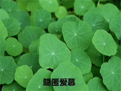 隐匿爱慕小说（季承泽许晚）完整版大结局-季承泽许晚小说免费阅读