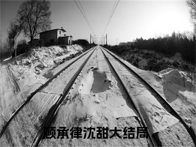 顾承律沈甜（顾承律沈甜）全文免费阅读无弹窗大结局_顾承律沈甜在线阅读（顾承律沈甜）最新章节列表笔趣阁（顾承律沈甜）