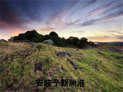 安枝予靳洲淮小说（安枝予靳洲淮）全文免费阅读无弹窗大结局_安枝予靳洲淮最新章节列表_笔趣阁（安枝予靳洲淮）
