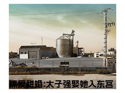 贺玥宁如颂（掠爱甜婚:太子强娶她入东宫）全文免费阅读无弹窗_贺玥宁如颂掠爱甜婚:太子强娶她入东宫最新章节免费阅读_笔趣阁