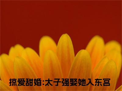 宁如颂贺玥全文免费阅读无弹窗大结局-掠爱甜婚:太子强娶她入东宫小说在哪里可以看